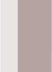 A tall, vertical, beige and light grey paper bag folded flat against a white background.
