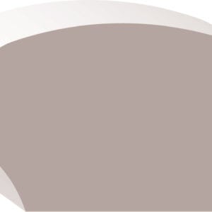 Abstract illustration of a brown and white mushrooм with a smooth cap and thick stem, viewed from the side.